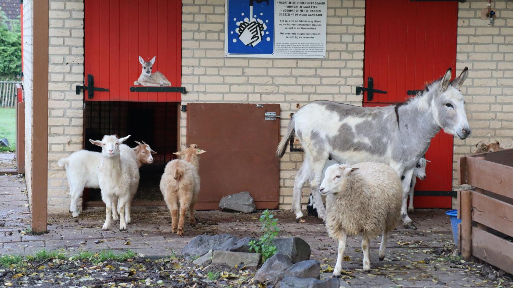 Het Huys Ewijk Mooi Luxe En Een Laadpaal Esterno foto