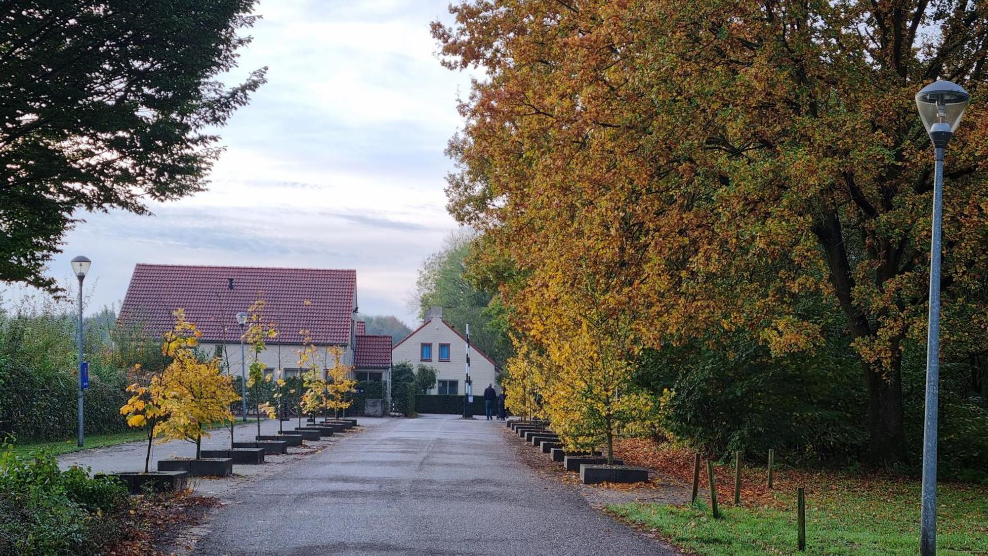 Het Huys Ewijk Mooi Luxe En Een Laadpaal Esterno foto