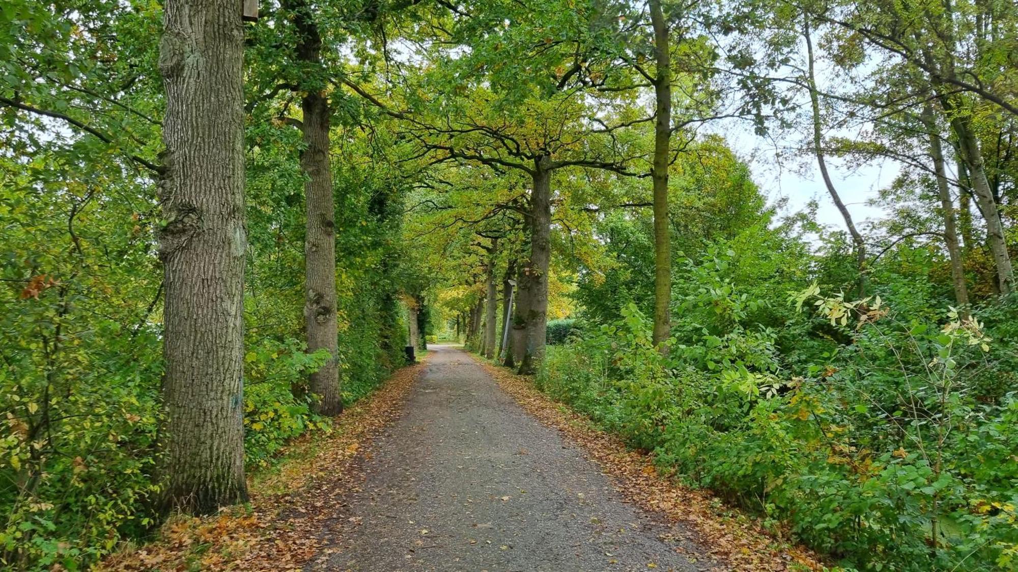 Het Huys Ewijk Mooi Luxe En Een Laadpaal Esterno foto